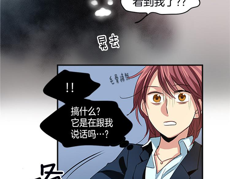洗碗大魔王韩漫全集-第2话 幽灵！？无删减无遮挡章节图片 