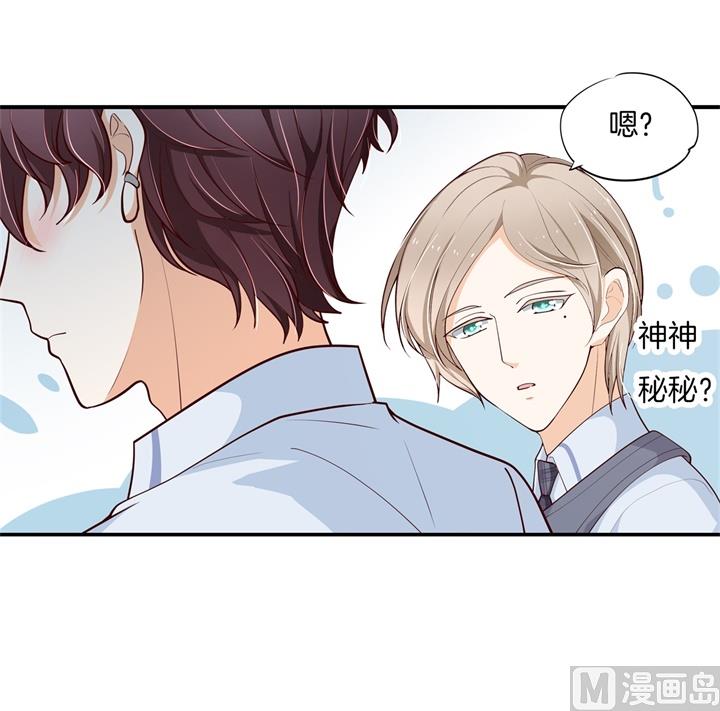 学霸哥哥别碰我韩漫全集-264 皇后穿什么由国王决定无删减无遮挡章节图片 