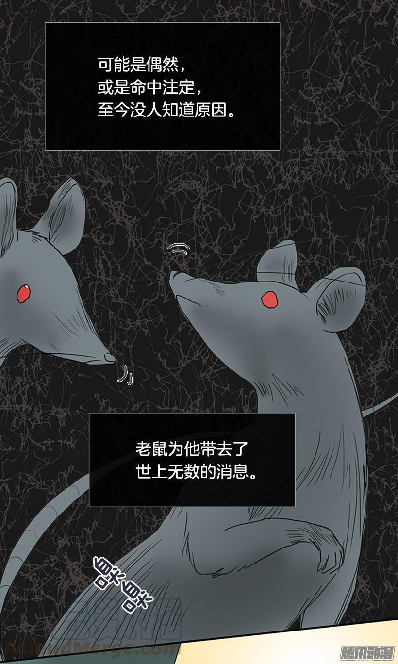 学士再生韩漫全集-鼠王现身无删减无遮挡章节图片 