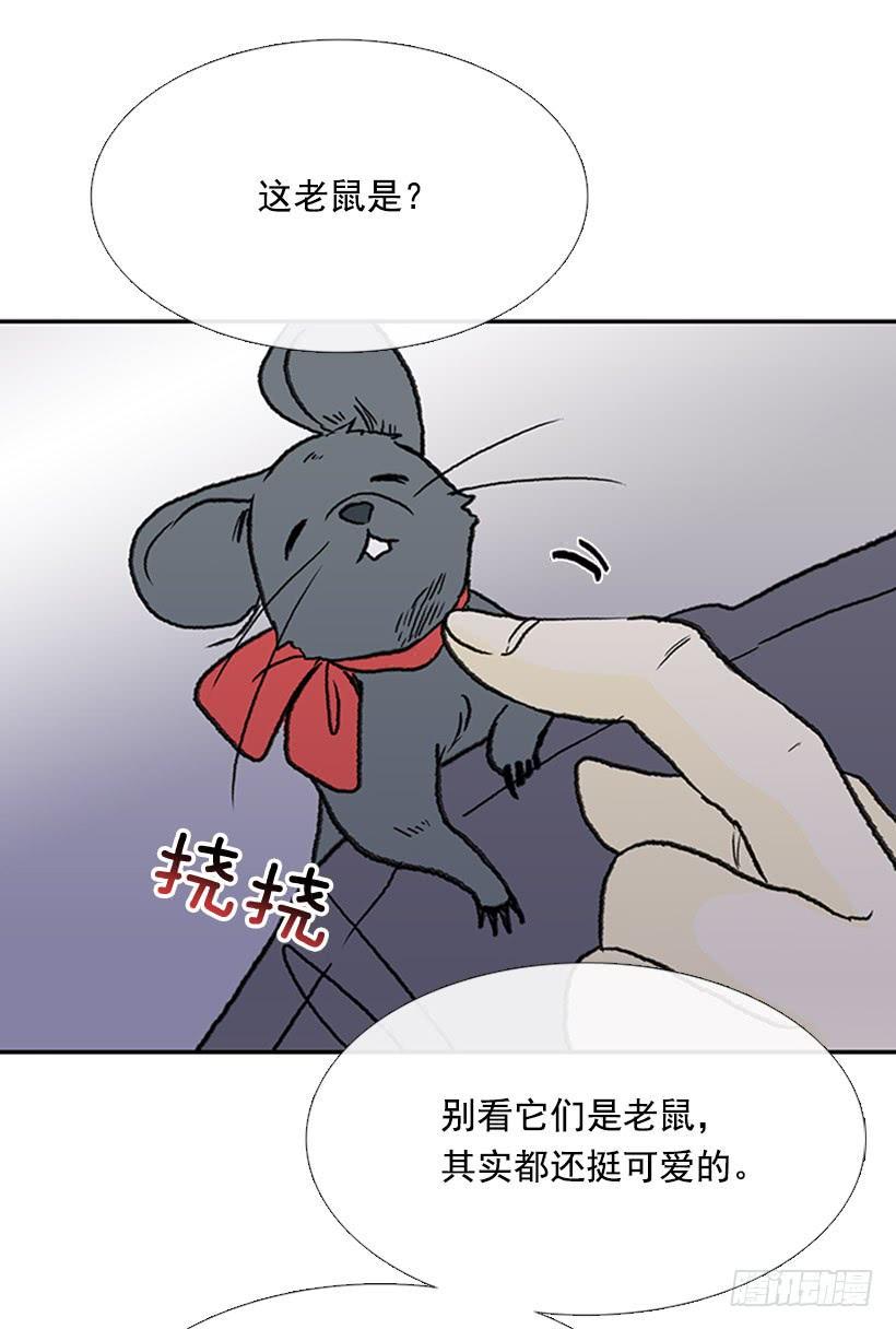 学士再生韩漫全集-信使无删减无遮挡章节图片 