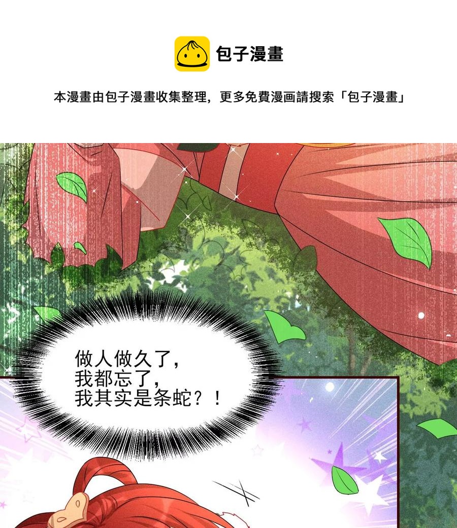 虚凰问天韩漫全集-又见面了无删减无遮挡章节图片 
