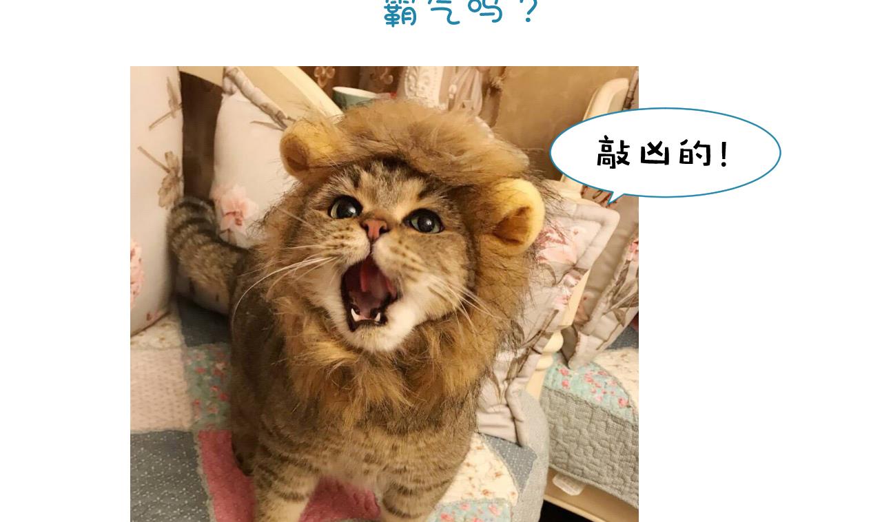 养个少主斗渣男韩漫全集-第165话 意外状况无删减无遮挡章节图片 