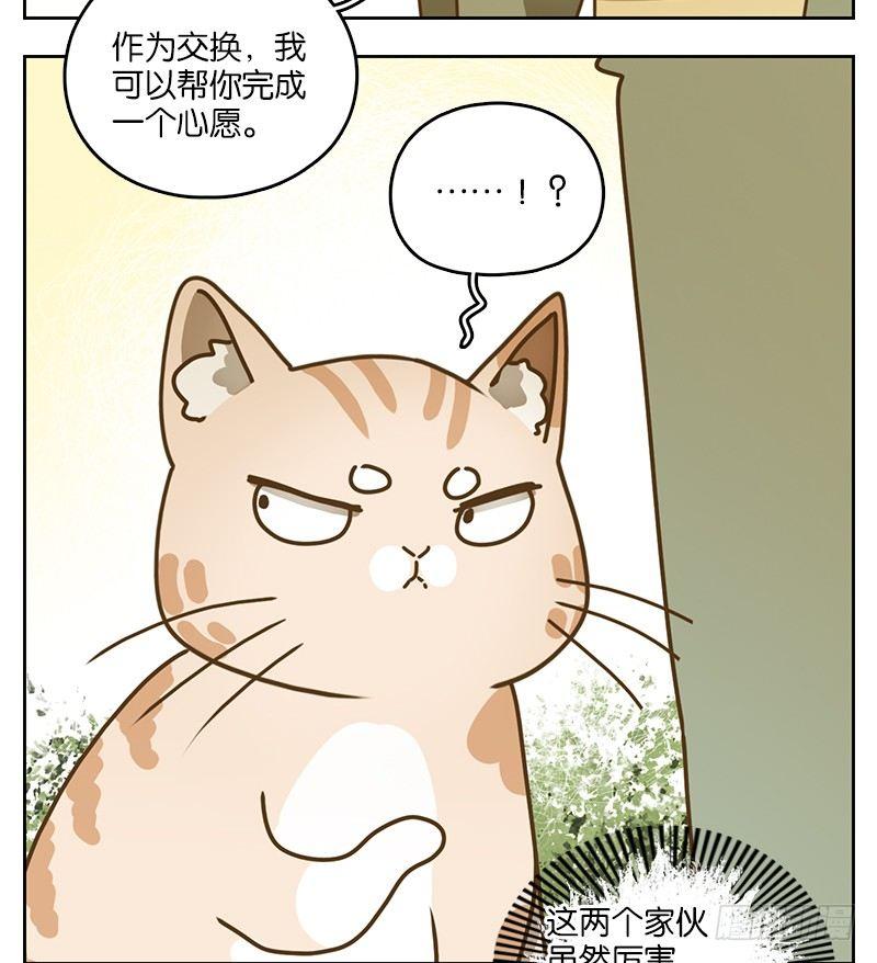 妖怪酒馆韩漫全集-第39话 舐犊之情（三）无删减无遮挡章节图片 