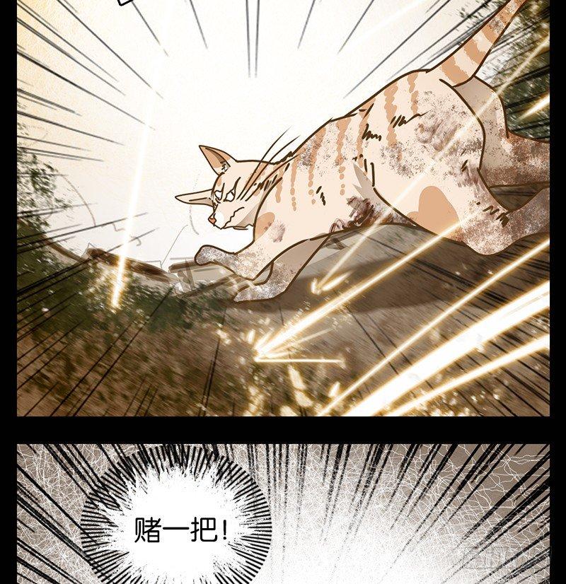 妖怪酒馆韩漫全集-第42话 舐犊之情（六）无删减无遮挡章节图片 