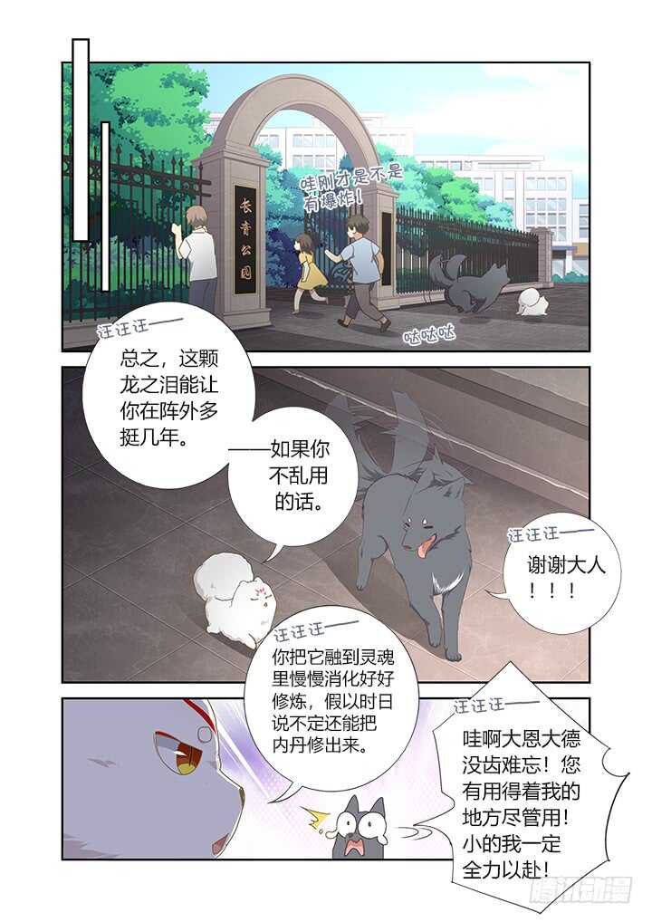 妖怪名单韩漫全集-405.中华田园犬无删减无遮挡章节图片 