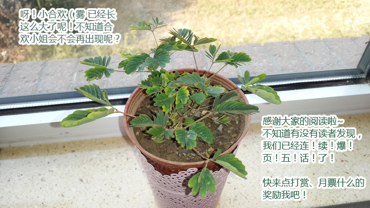 妖怪名单韩漫全集-44.当NPC头上亮起叹号无删减无遮挡章节图片 