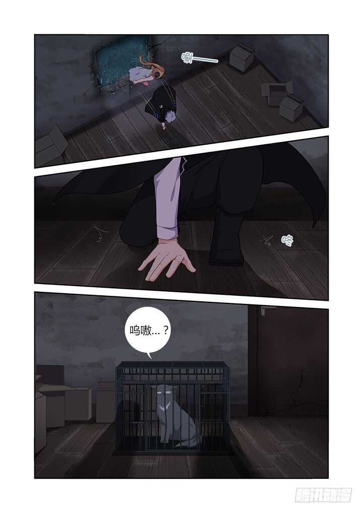 妖怪名单韩漫全集-416.声东击西无删减无遮挡章节图片 