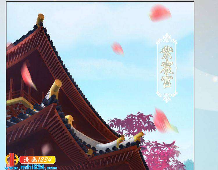 妖颜令韩漫全集-第79话 准备婚礼无删减无遮挡章节图片 
