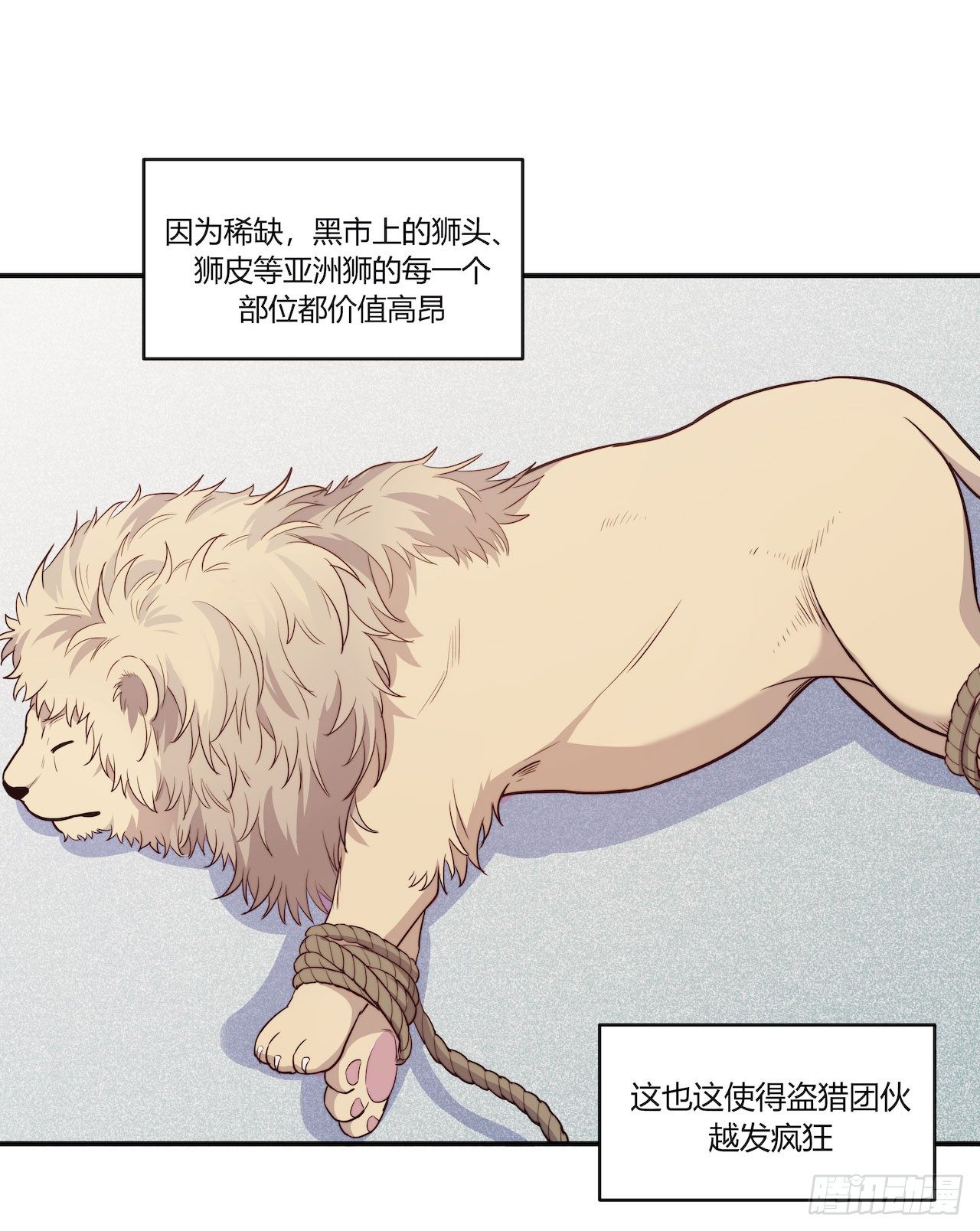 要有光-【特别篇】地球狮与外星猫2全彩韩漫标签