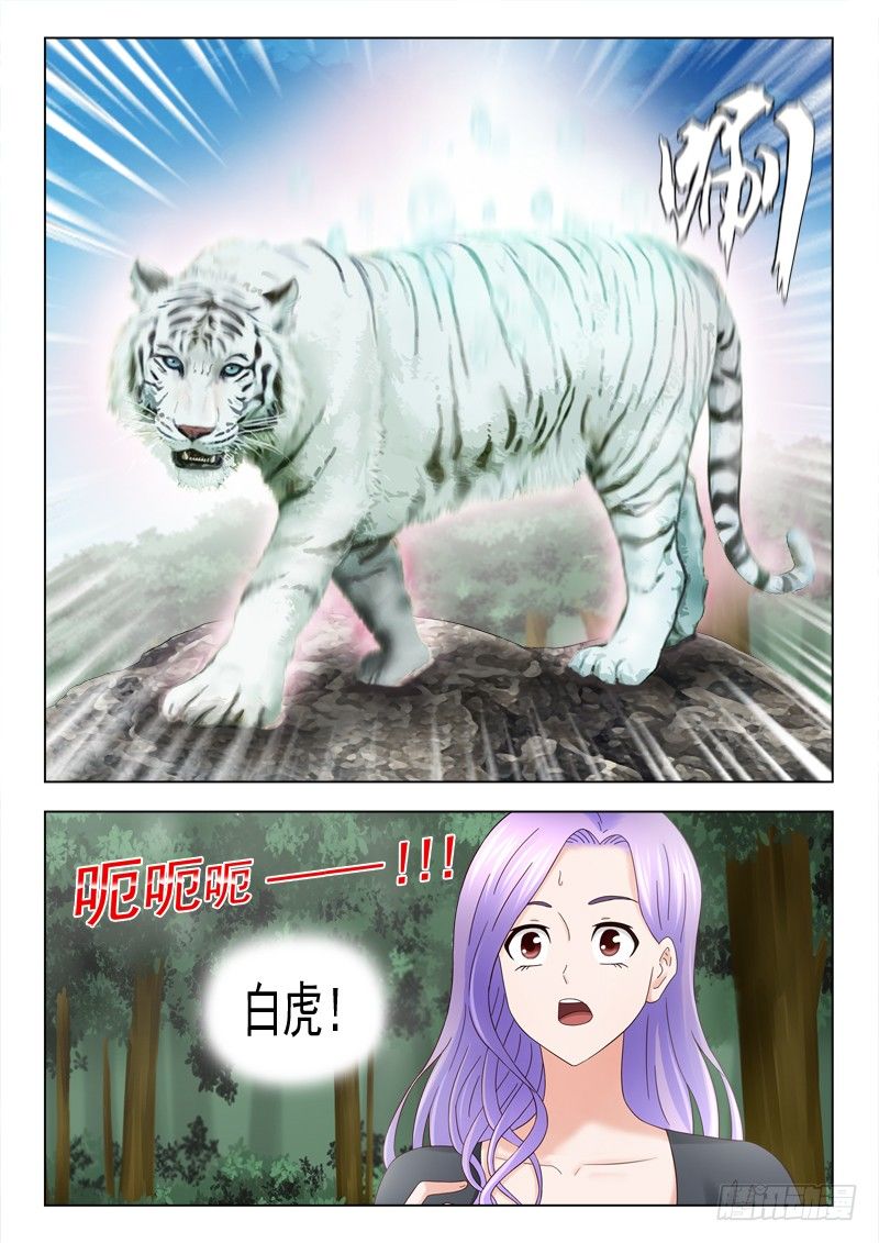 夜先生的店韩漫全集-37 白虎无删减无遮挡章节图片 
