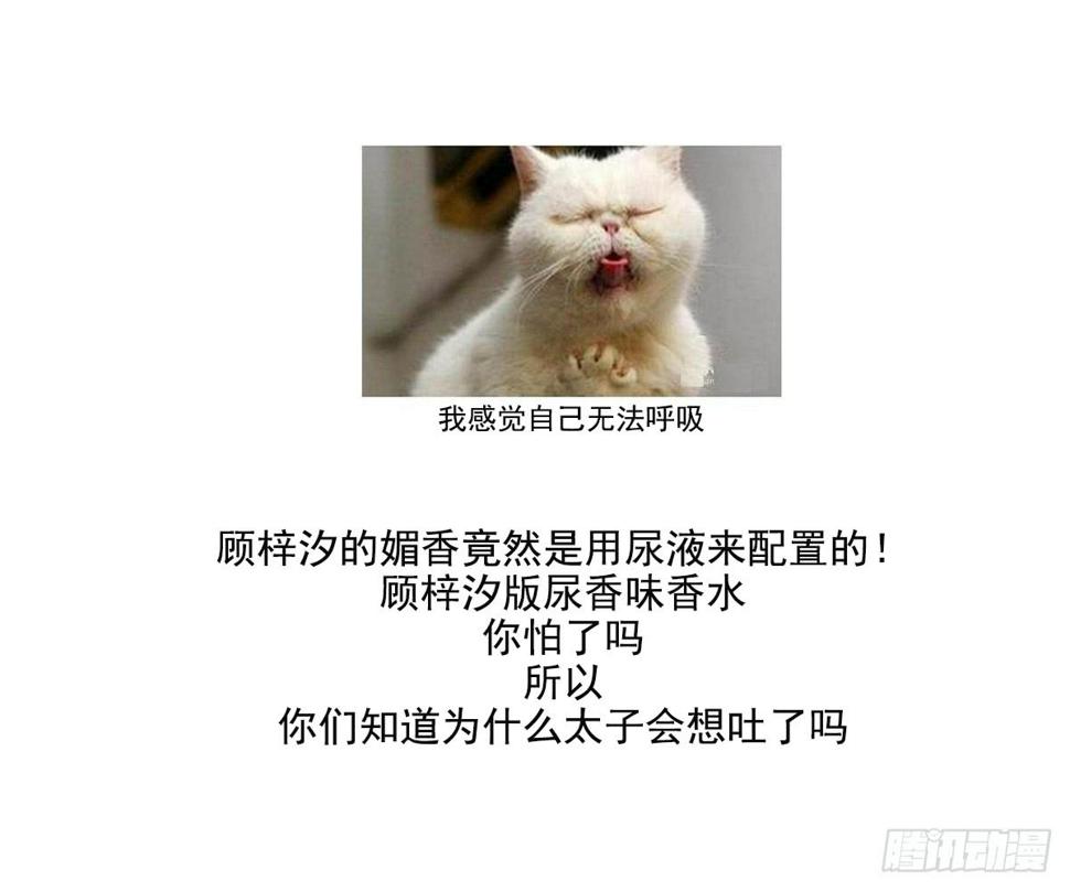 一代诡妃韩漫全集-第155话 她和顾梓汐长得一样无删减无遮挡章节图片 