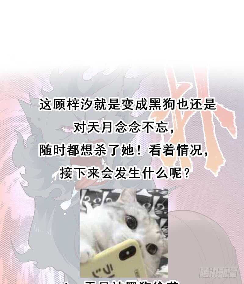 一代诡妃韩漫全集-第261话 说服顾梓汐无删减无遮挡章节图片 