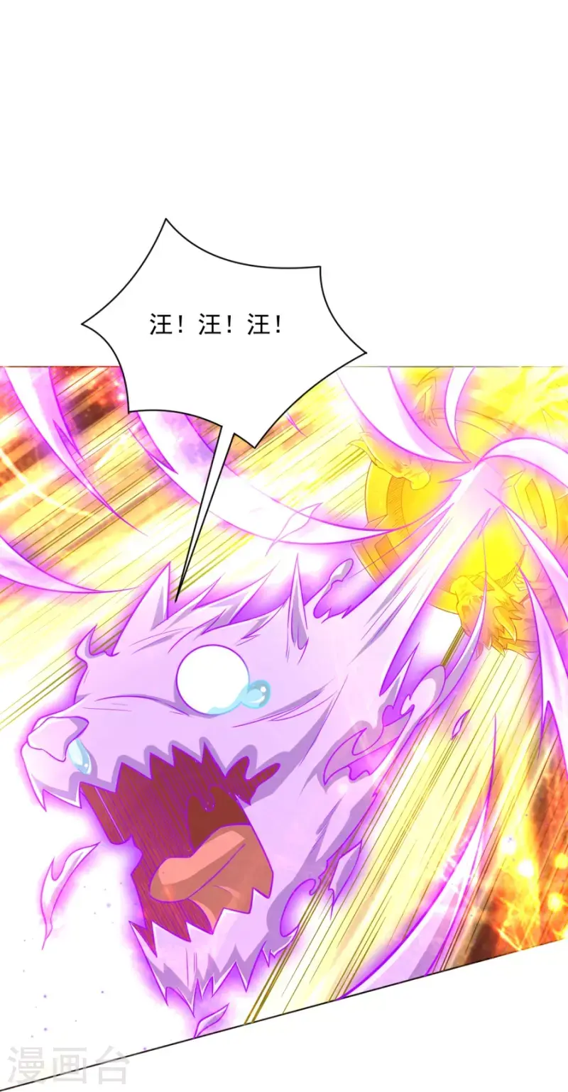 一等家丁韩漫全集-第300话 帝品舍利无删减无遮挡章节图片 