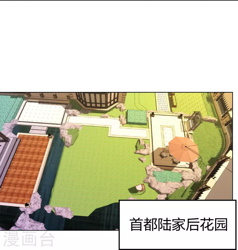 医等狂兵韩漫全集-第211话 陆家怒火！！无删减无遮挡章节图片 