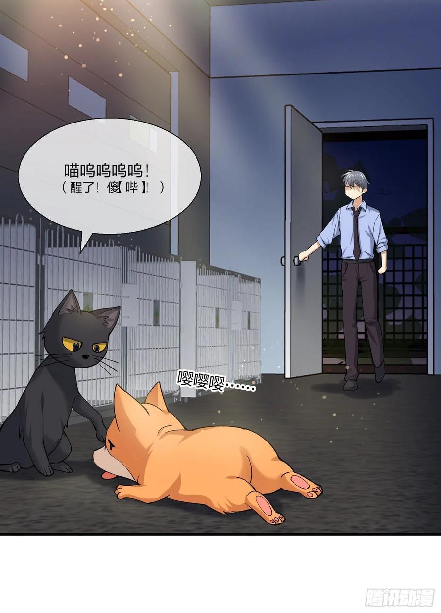 异能税韩漫全集-黑猫小分队无删减无遮挡章节图片 
