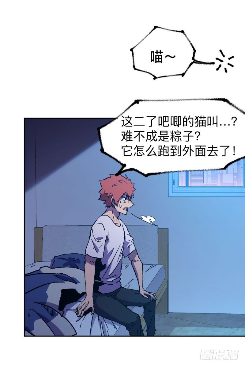 英雄不再韩漫全集-侠客火猫2无删减无遮挡章节图片 
