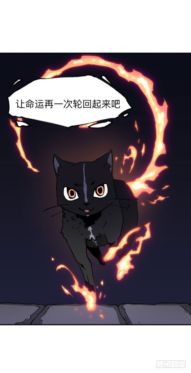 英雄不再韩漫全集-侠客火猫2无删减无遮挡章节图片 