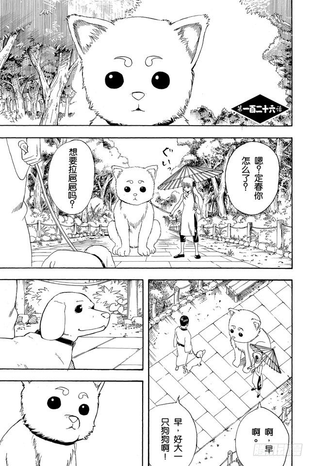 银魂韩漫全集-第126话 狗狗的肉垫有种香味呢无删减无遮挡章节图片 