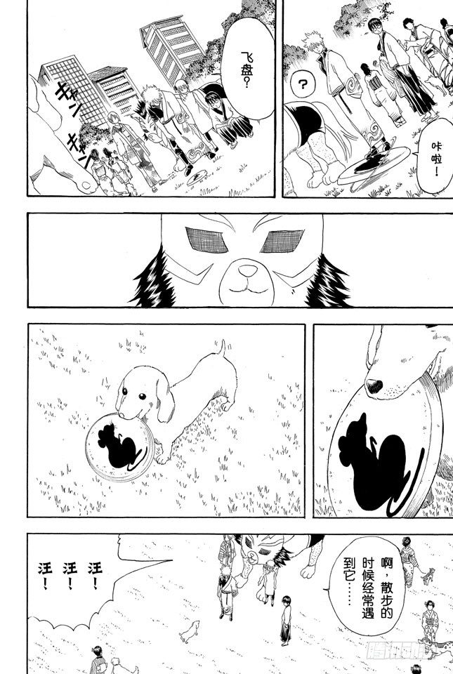 银魂韩漫全集-第126话 狗狗的肉垫有种香味呢无删减无遮挡章节图片 
