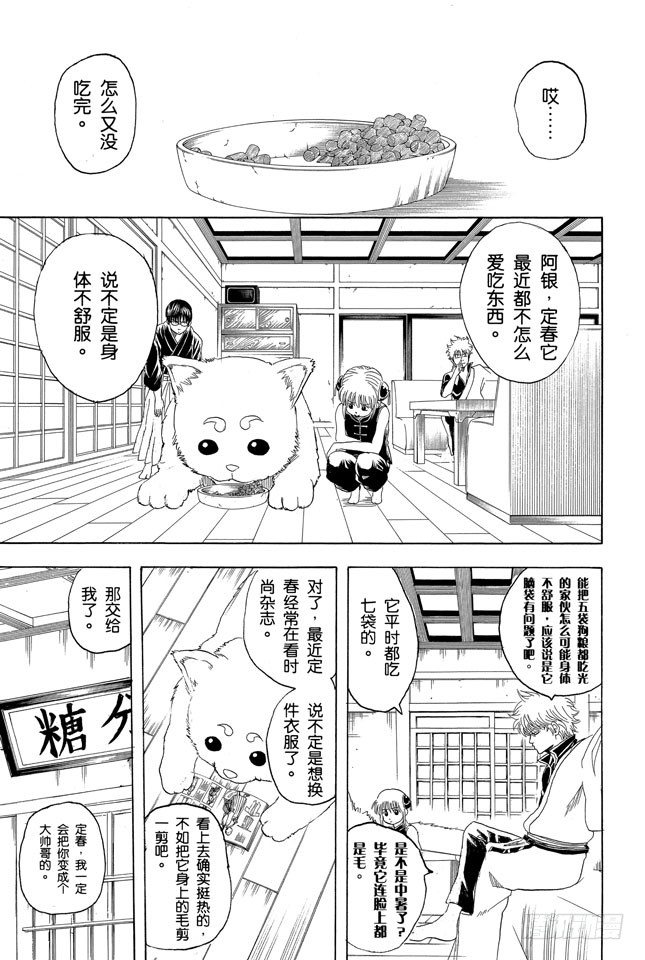 银魂韩漫全集-第126话 狗狗的肉垫有种香味呢无删减无遮挡章节图片 