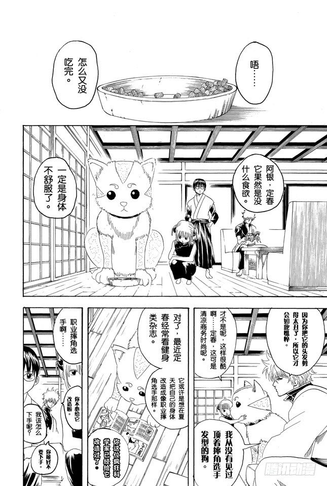 银魂韩漫全集-第126话 狗狗的肉垫有种香味呢无删减无遮挡章节图片 
