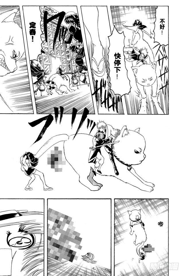银魂韩漫全集-第142话 女人的眼泪胜过一切无删减无遮挡章节图片 