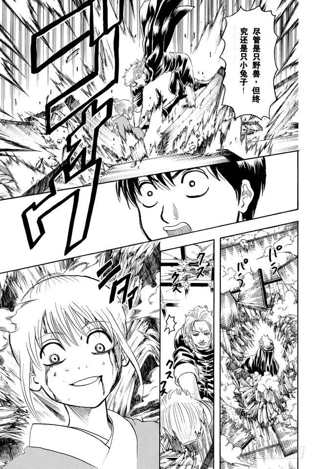 银魂韩漫全集-第219话 总说“我要发飙了”的家伙，一般都不会发飙无删减无遮挡章节图片 