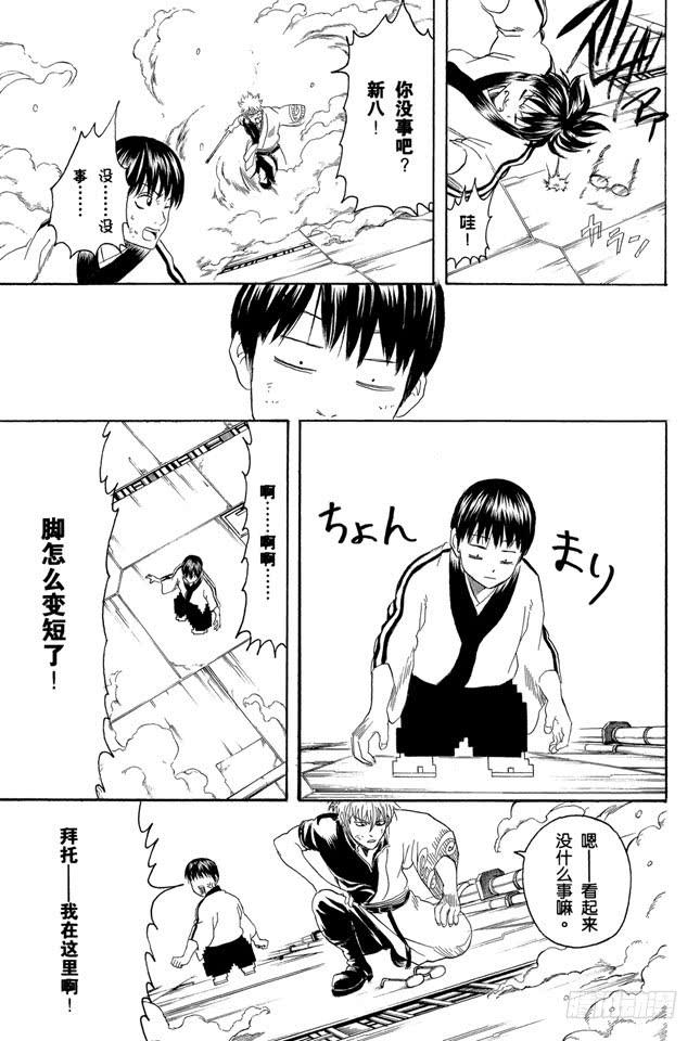 银魂韩漫全集-第250话 一帮蠢蛋无删减无遮挡章节图片 