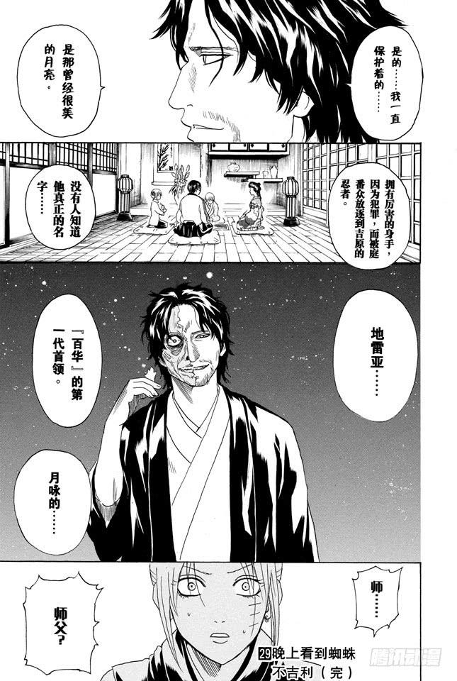 银魂韩漫全集-第255话 被蜘蛛缠上是很难脱身的无删减无遮挡章节图片 