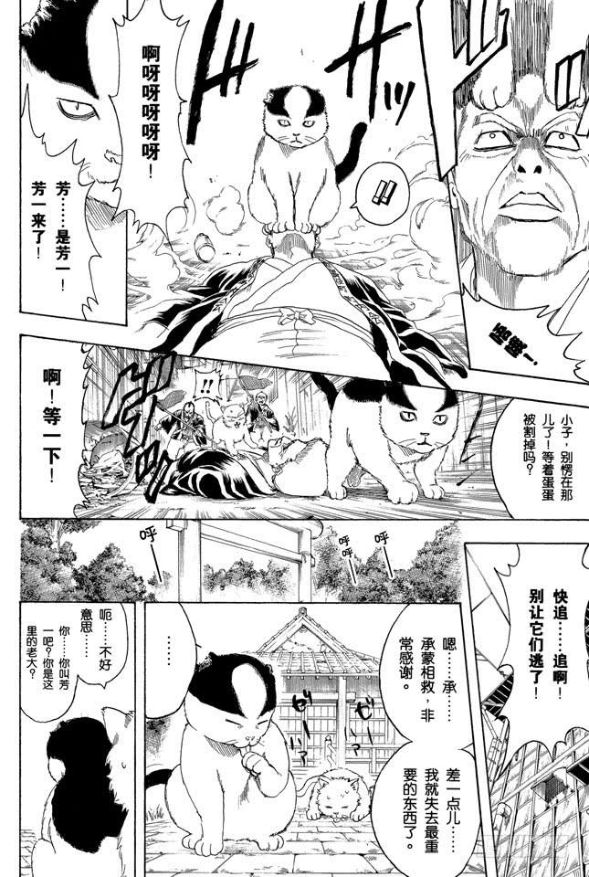 银魂韩漫全集-第275话 找东西的时候应该站在对方的立场，设身处地地找无删减无遮挡章节图片 