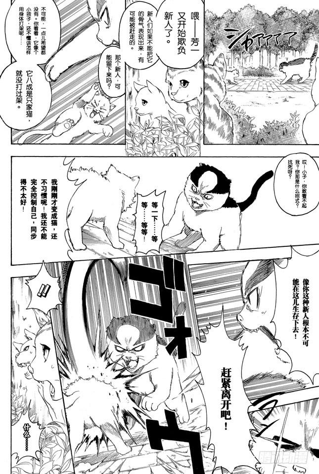银魂韩漫全集-第275话 找东西的时候应该站在对方的立场，设身处地地找无删减无遮挡章节图片 