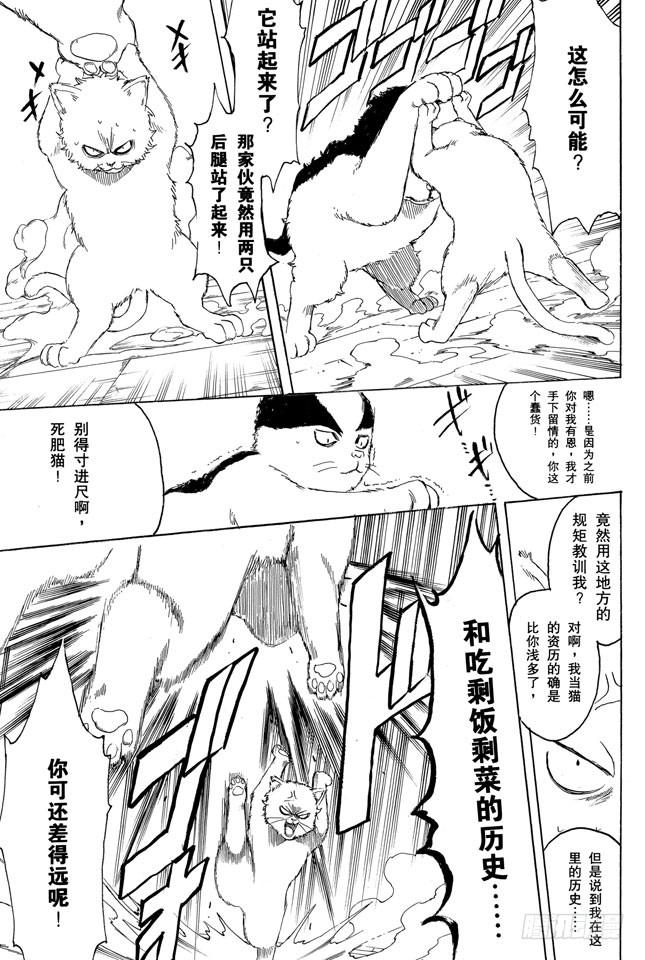 银魂韩漫全集-第275话 找东西的时候应该站在对方的立场，设身处地地找无删减无遮挡章节图片 