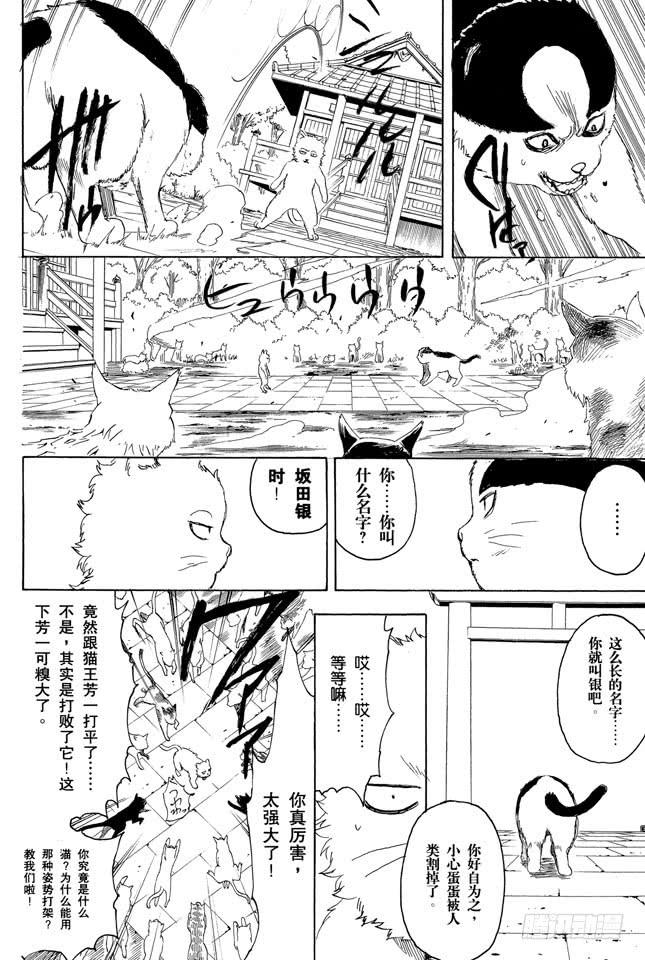 银魂韩漫全集-第275话 找东西的时候应该站在对方的立场，设身处地地找无删减无遮挡章节图片 