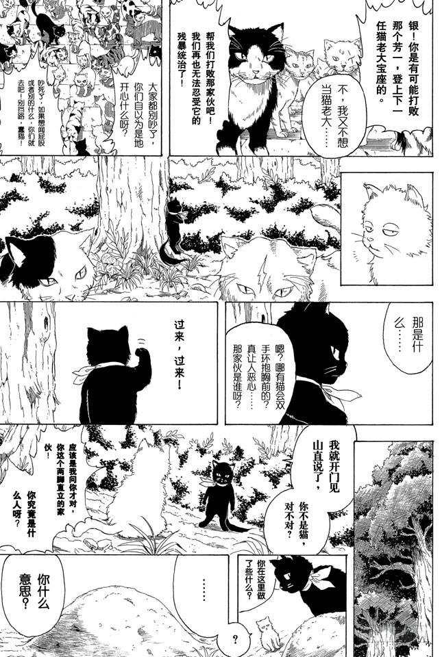 银魂韩漫全集-第275话 找东西的时候应该站在对方的立场，设身处地地找无删减无遮挡章节图片 