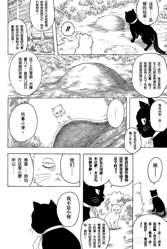 银魂韩漫全集-第275话 找东西的时候应该站在对方的立场，设身处地地找无删减无遮挡章节图片 