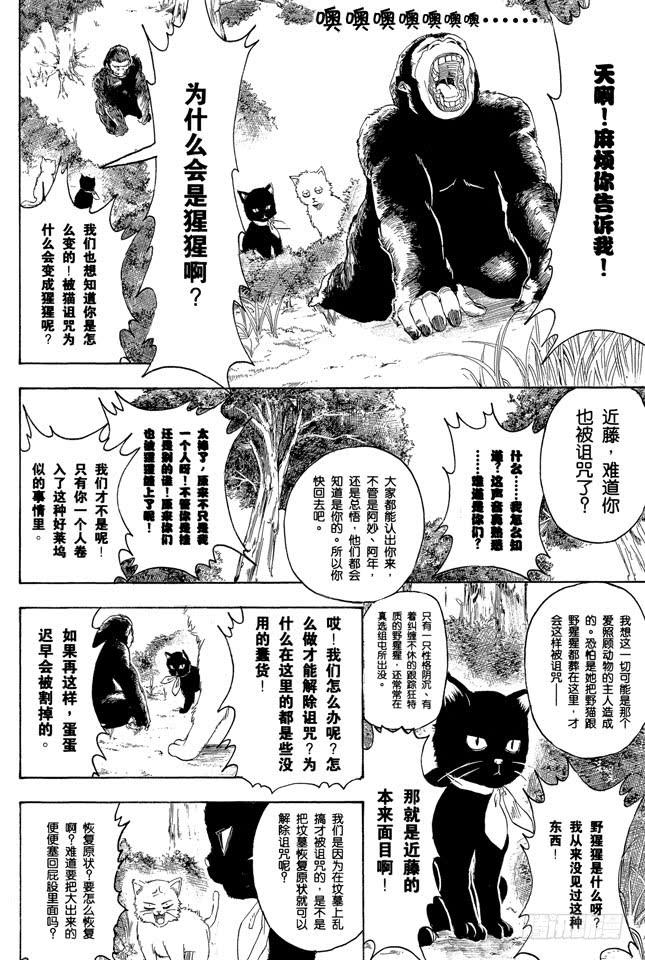 银魂韩漫全集-第275话 找东西的时候应该站在对方的立场，设身处地地找无删减无遮挡章节图片 