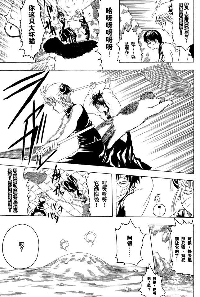 银魂韩漫全集-第275话 找东西的时候应该站在对方的立场，设身处地地找无删减无遮挡章节图片 