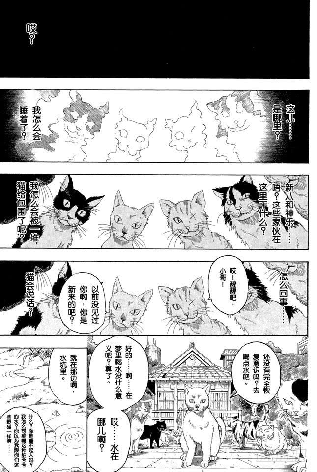 银魂韩漫全集-第275话 找东西的时候应该站在对方的立场，设身处地地找无删减无遮挡章节图片 