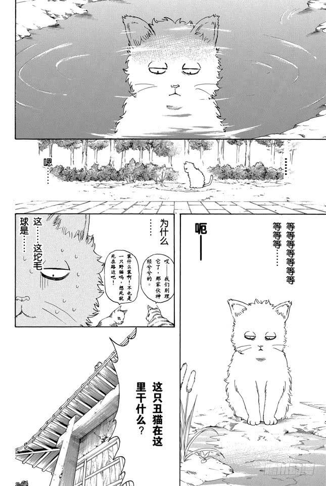 银魂韩漫全集-第275话 找东西的时候应该站在对方的立场，设身处地地找无删减无遮挡章节图片 