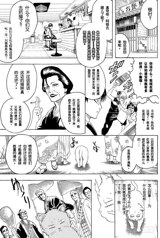 银魂韩漫全集-第275话 找东西的时候应该站在对方的立场，设身处地地找无删减无遮挡章节图片 