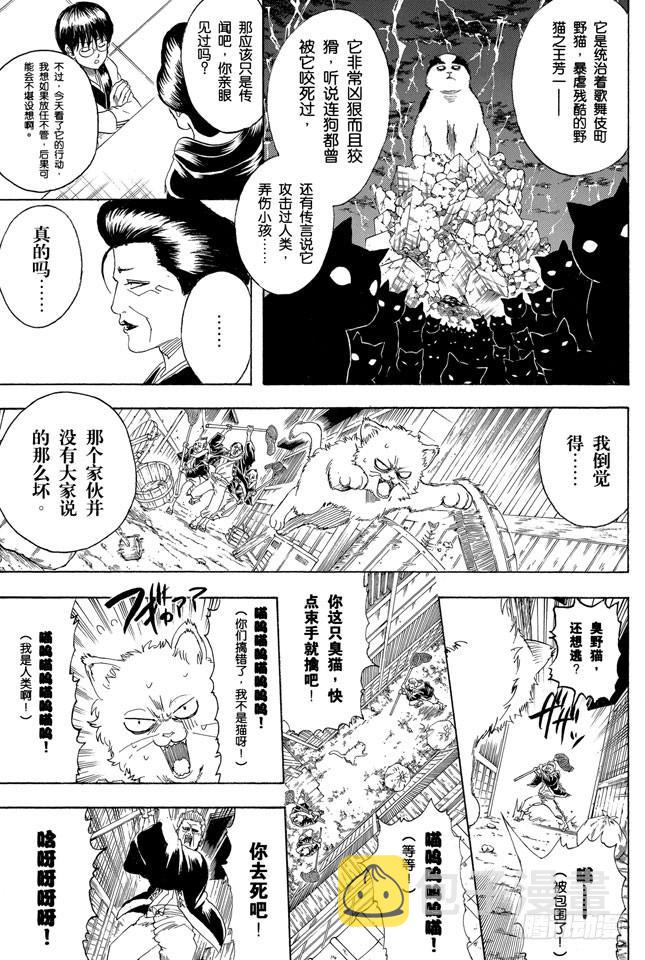 银魂韩漫全集-第275话 找东西的时候应该站在对方的立场，设身处地地找无删减无遮挡章节图片 