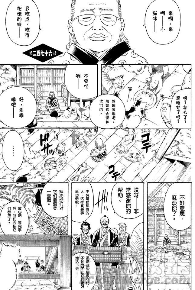 银魂韩漫全集-第276话 不用喊“志村，你后面”，因为他已经注意到了呢！无删减无遮挡章节图片 