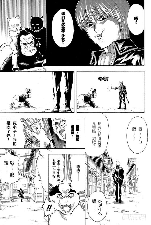 银魂韩漫全集-第276话 不用喊“志村，你后面”，因为他已经注意到了呢！无删减无遮挡章节图片 