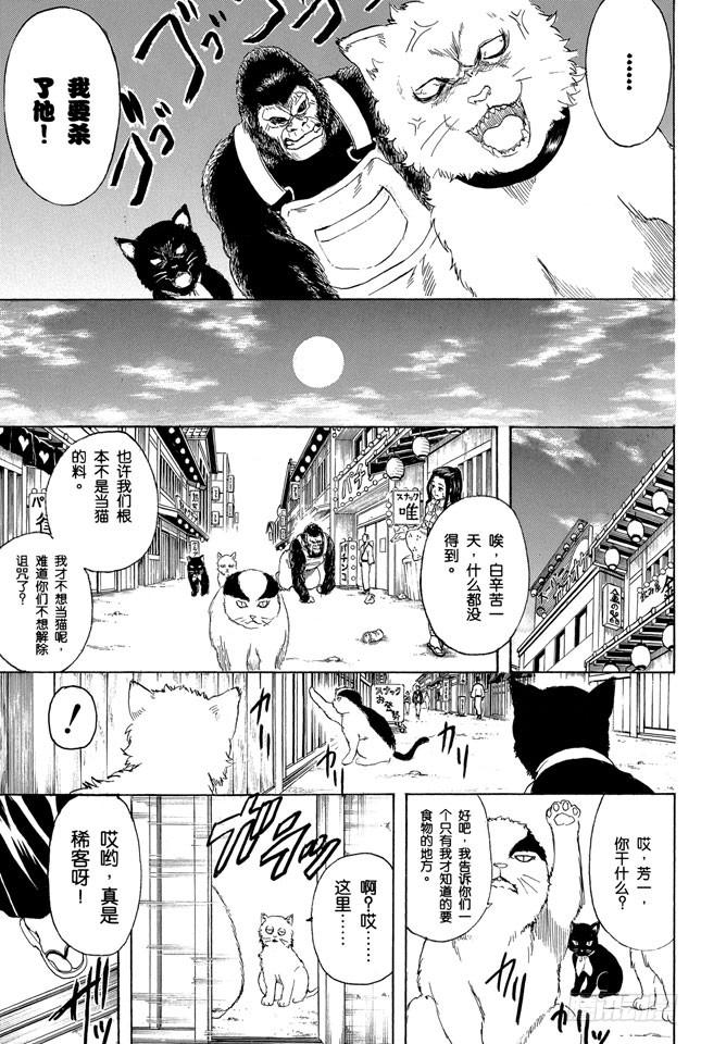 银魂韩漫全集-第276话 不用喊“志村，你后面”，因为他已经注意到了呢！无删减无遮挡章节图片 