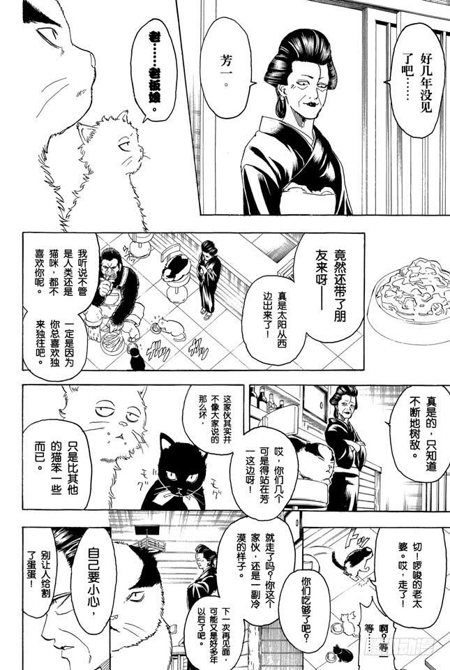 银魂韩漫全集-第276话 不用喊“志村，你后面”，因为他已经注意到了呢！无删减无遮挡章节图片 