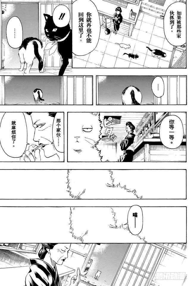 银魂韩漫全集-第276话 不用喊“志村，你后面”，因为他已经注意到了呢！无删减无遮挡章节图片 