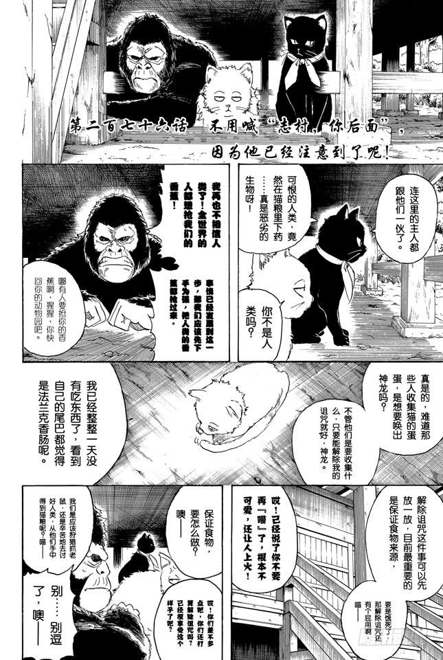银魂韩漫全集-第276话 不用喊“志村，你后面”，因为他已经注意到了呢！无删减无遮挡章节图片 