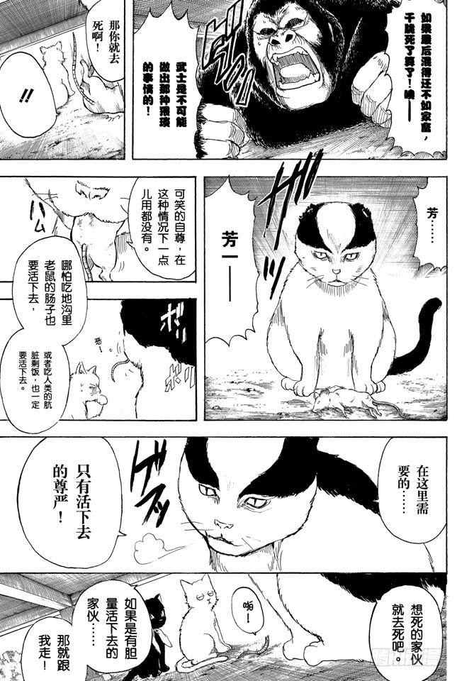 银魂韩漫全集-第276话 不用喊“志村，你后面”，因为他已经注意到了呢！无删减无遮挡章节图片 