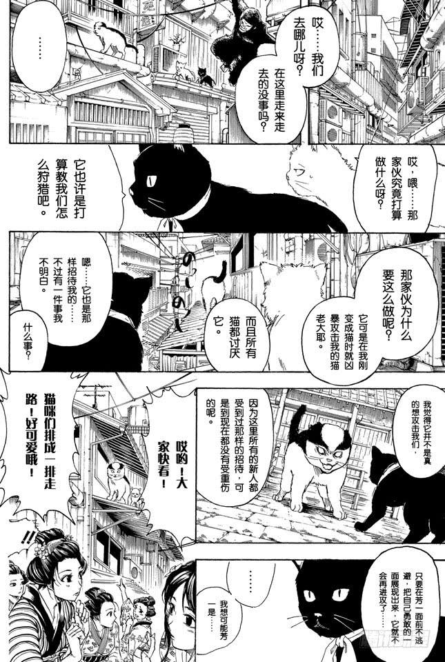 银魂韩漫全集-第276话 不用喊“志村，你后面”，因为他已经注意到了呢！无删减无遮挡章节图片 