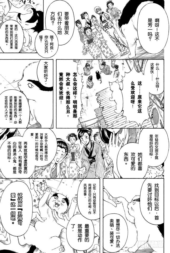 银魂韩漫全集-第276话 不用喊“志村，你后面”，因为他已经注意到了呢！无删减无遮挡章节图片 